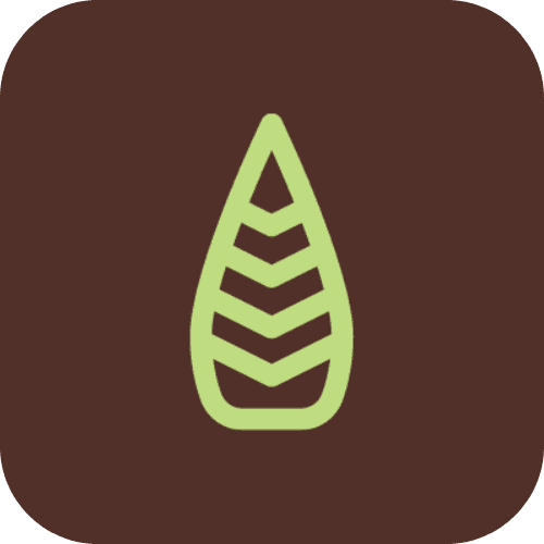 neoCedrus